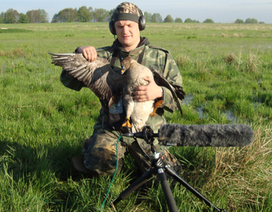 запись гуменника весна 2012