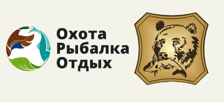 Осенние выставки с нашим участием