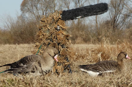 электронные манки Hunterhelp Хантер Хелп, фото манков