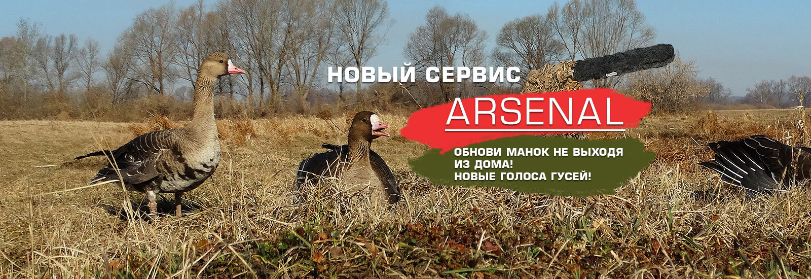 Новый сервис Arsenal. Обнови свой манок не выходя из дома
